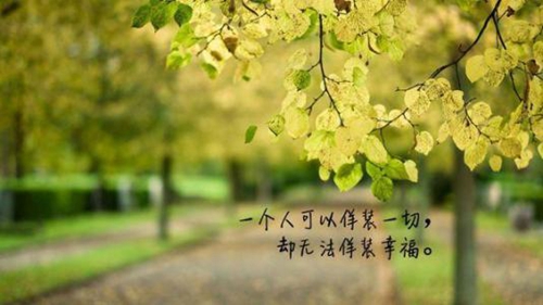 花开富贵满华堂