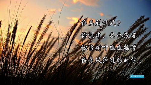 长春柳影办文体广场舞 西班牙斗牛舞 表演 正背面演示及口令分解动作教学