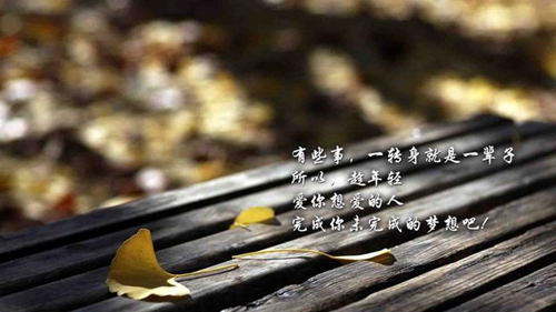 东昇广场舞《采茶舞曲》完整版演示及口令分解动作教学