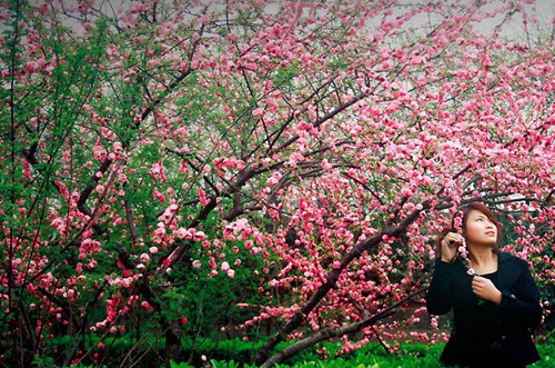 冰凌花广场舞 唱春