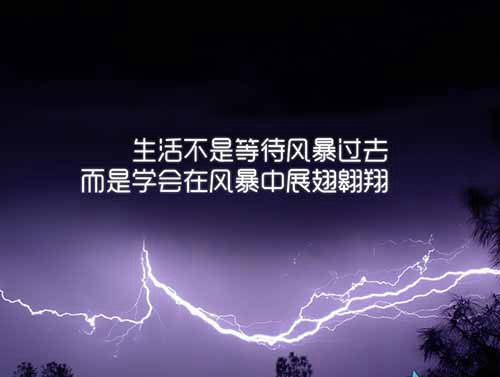 风雨红尘