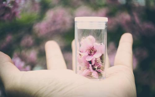 扬州花儿广场舞吉祥